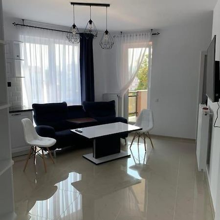 Cozy Apartment In The Center Of Cluj-Napoca Exteriör bild