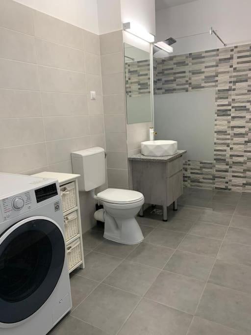 Cozy Apartment In The Center Of Cluj-Napoca Exteriör bild