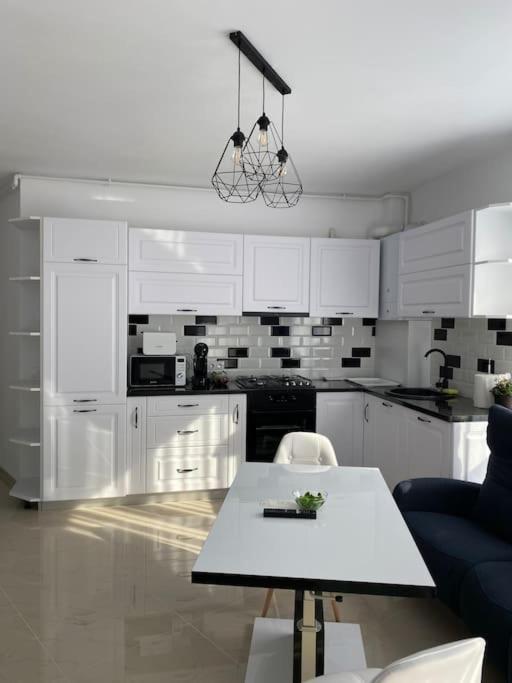 Cozy Apartment In The Center Of Cluj-Napoca Exteriör bild